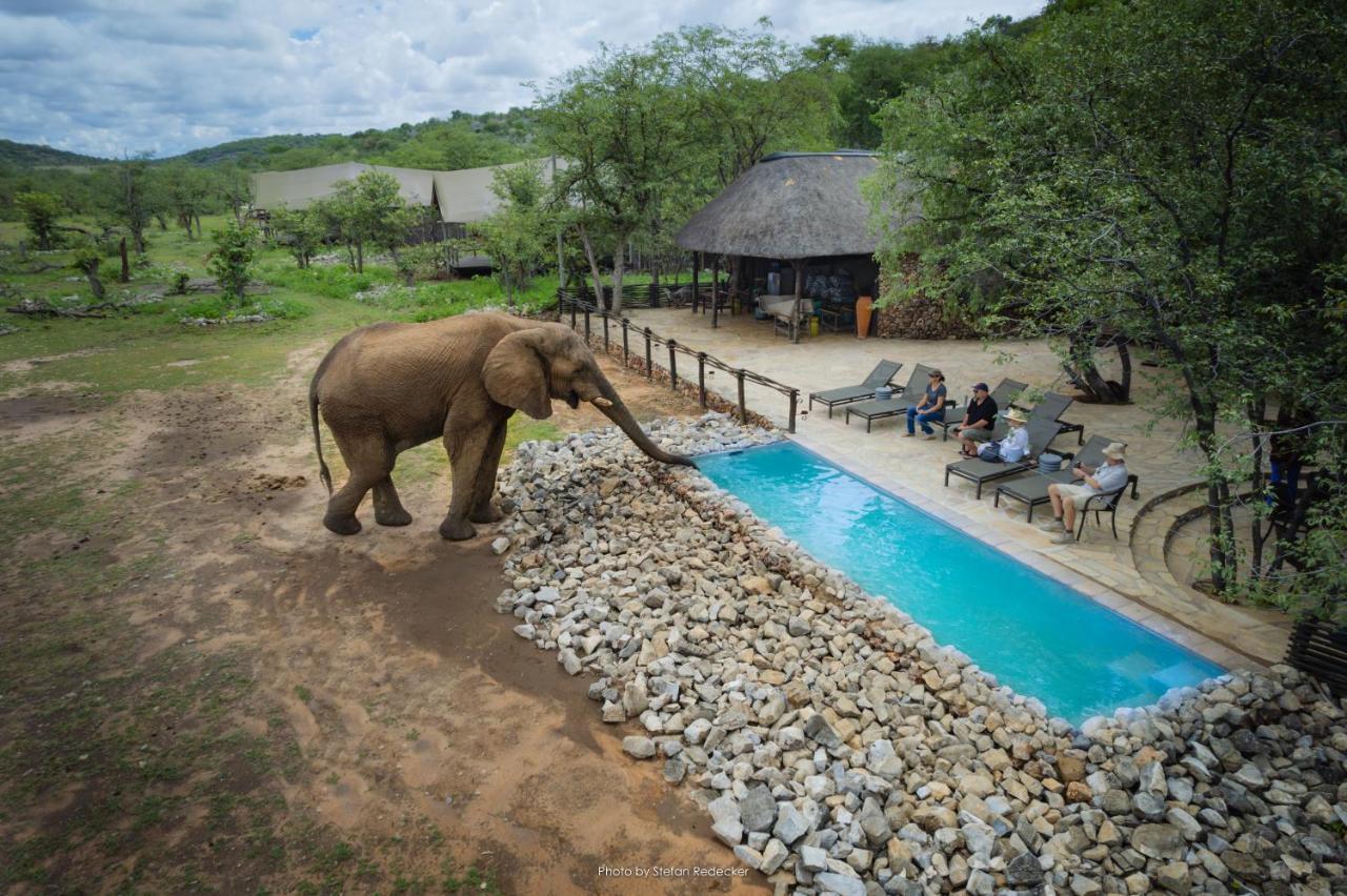 Ongava Tented Camp أوكاوكويجو المظهر الخارجي الصورة