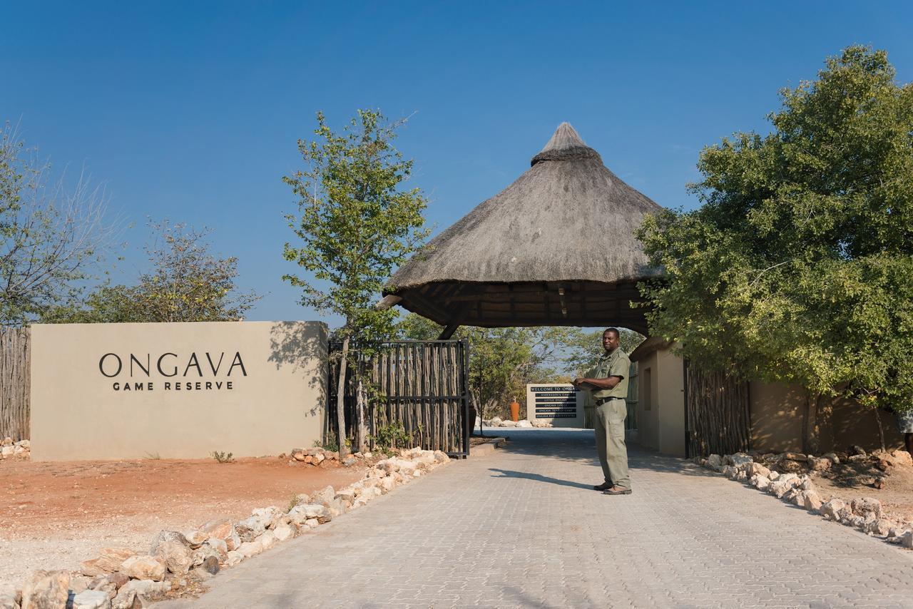 Ongava Tented Camp أوكاوكويجو المظهر الخارجي الصورة