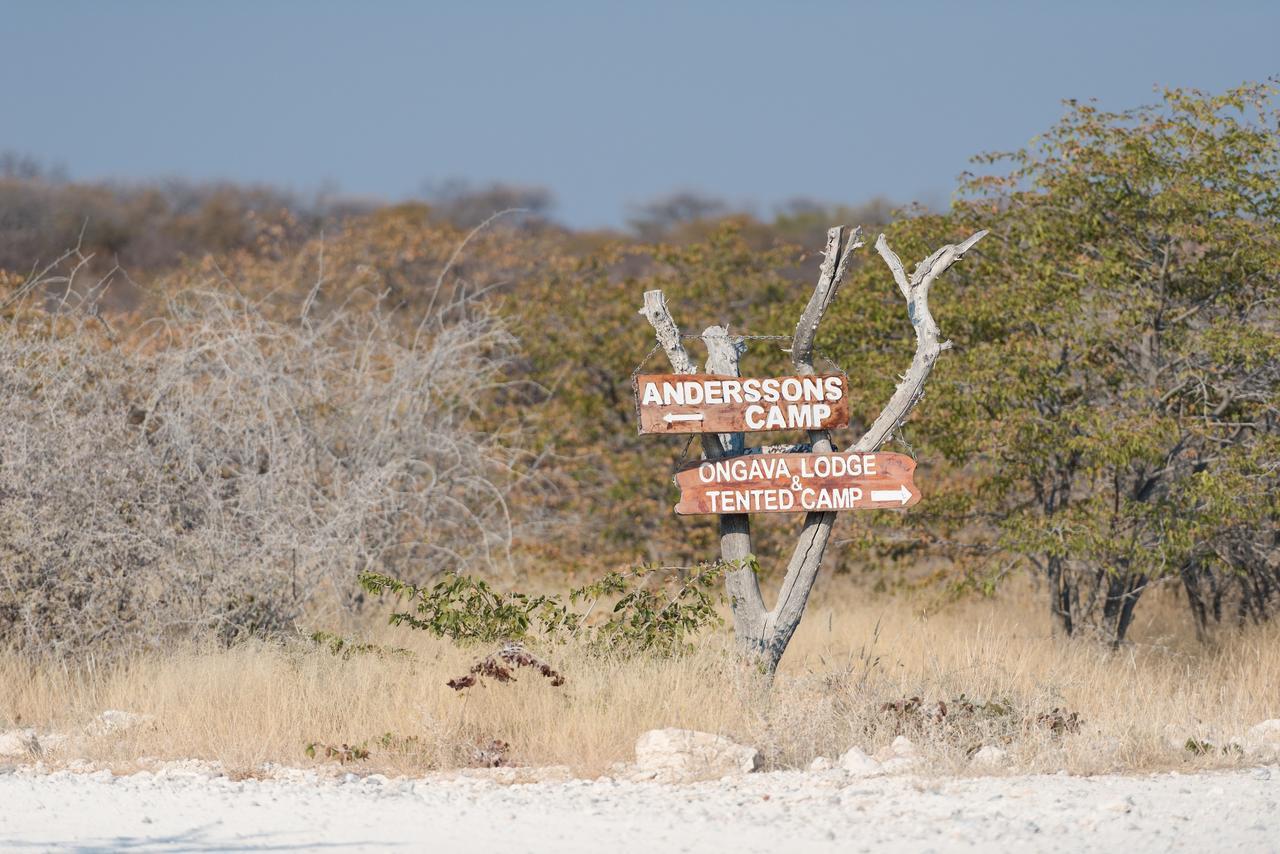Ongava Tented Camp أوكاوكويجو المظهر الخارجي الصورة